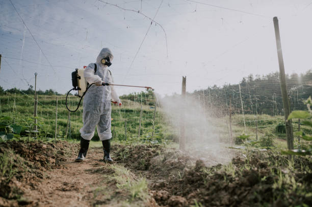Best Best Pest Control Companies  in Coyne Center, IL