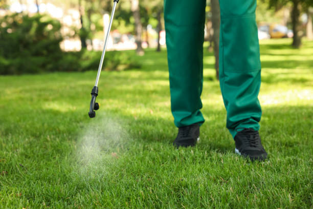 Best Local Pest Control Services  in Coyne Center, IL
