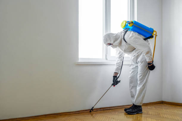 Best Pest Inspection Near Me  in Coyne Center, IL