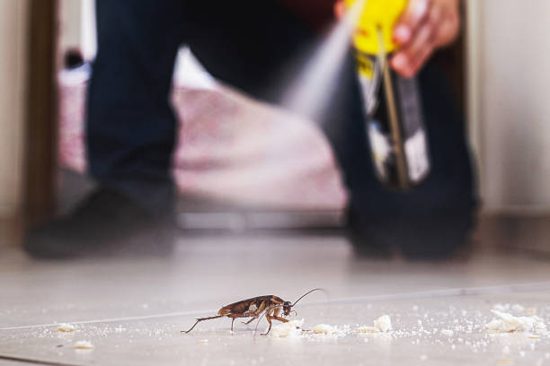 Pest Prevention Services in Coyne Center, IL